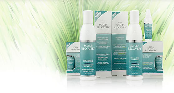 Nioxin Scalp Renew products at Tim Murphy's Salon and Spa